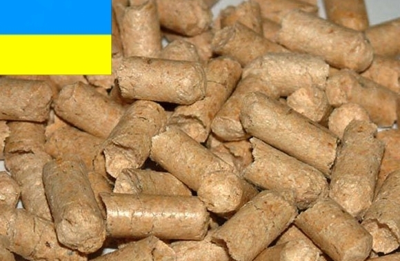 Number of Ukrainian wood pellet producers