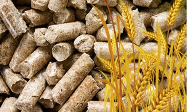Pellets: this market will get the new
