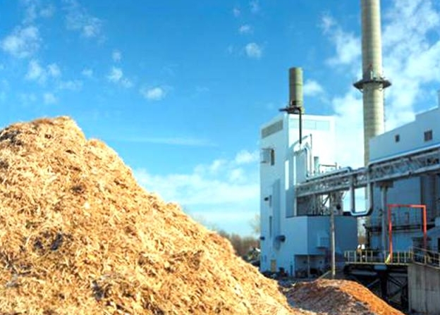 Biomass producers protest on