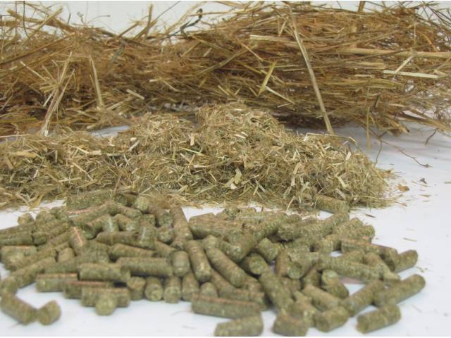 Pellets in 2013 - the demand is still high