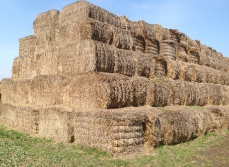 Market of straw pellets: high