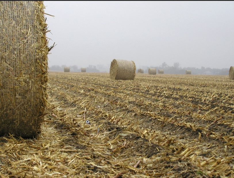 2013 the demand for Ukrainian straw pellets
