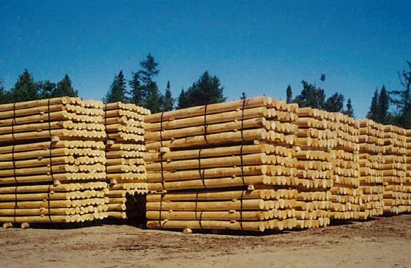 EU increased its imports of Ukrainian timber