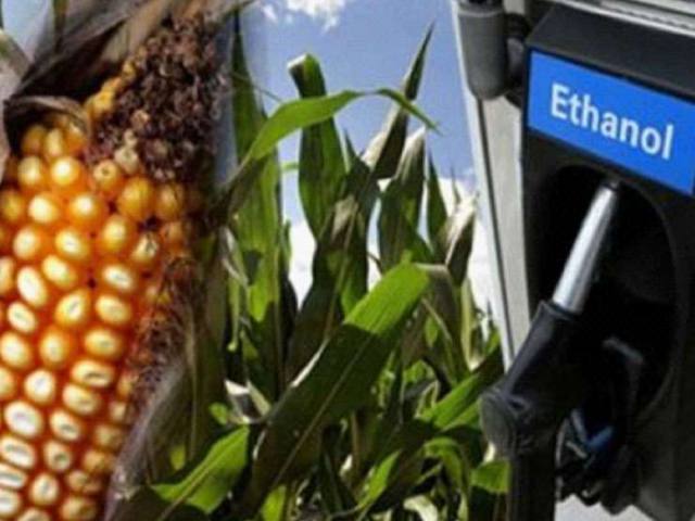 2015 American biofuel market significantly