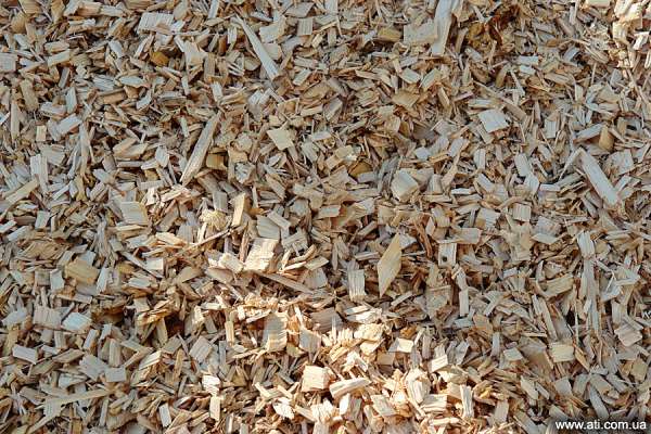 Wood chips export volumes