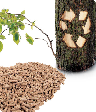 Consumes 20% of wood pellets worldwide