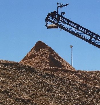 Import prices for wood chips in Japan in