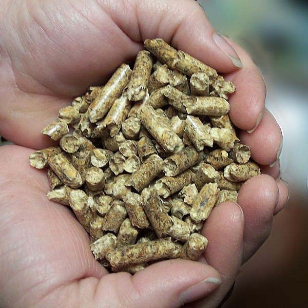 Characteristics of wood pellet market in the