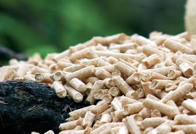 Biomass pellets in