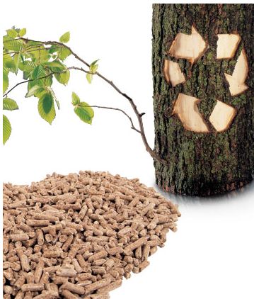 Are refined biomass