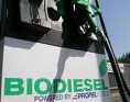 Of biodiesel and ethanol