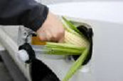 Biofuels availability