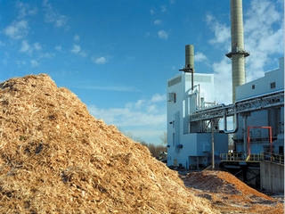 Britain intends to use biomass instead of