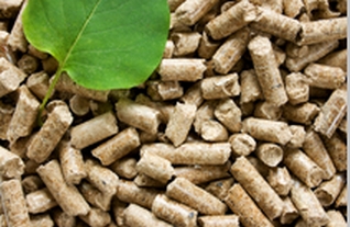 Biomass certification NTA8080 is approved by