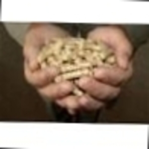 Our company offers a long-term cooperation $0