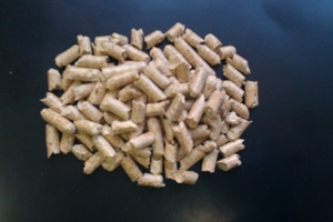 Produce and Sell High-Quality Wood Pellets $0