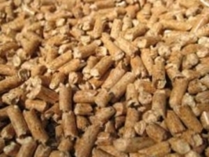 Quality Wood pellets in bulk $0