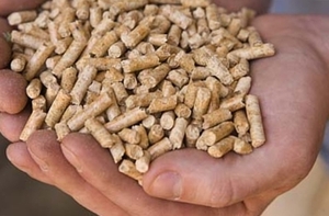 WE SELL WOOD PELLETS, DIN PLUS, 6 mm. LARGE QUANTITIES $0