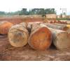 We deal on african hardwood logs