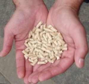We will buy pellets with diameter 6 mm $0