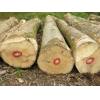 Sawn Lumber and decking material