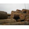 African tropical wood logs and timber for supplier