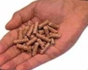 Holzpellets aus Deutschland $0