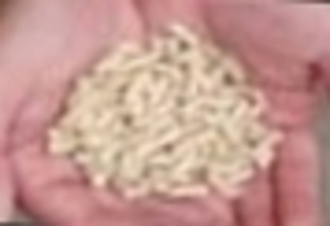 We deliver wood pellets DINPlus quality Germany $0