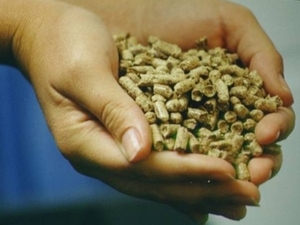 High Quality Wood Pellets made in the UK $0
