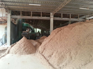 Selling Eucalyptus pellets $160