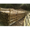 Bamboo poles or wood chips/sawdust