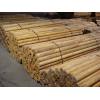 birch sticks  1,6 meters long