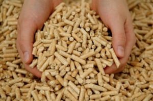 A company needs 1 truck of wood pellets for test $0