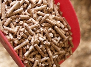 USA company needs to buy wood pellets $0
