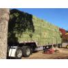 Quality Alfalfa Hay, Timothy Hay and Bermuda Hay Now in Stock