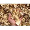 Export Wood Chips in large quantities