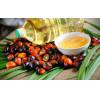 Crude Palm Oil for sale