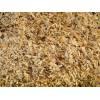 Pine wood chips from cylindering cut machine