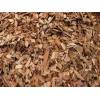 Wood chips of eucaliptus at FOB Montevideo port