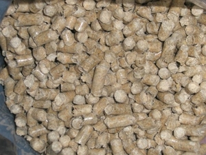 wood pellets of premium quality $0