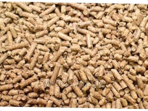 Buying EnPlus pellets A1 on EXW or FCA terms $0