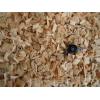 FSC certified Pine Wood Chips, bbq smoking wood chips