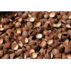 Palm kernel shells in FOB terms Pontiank for sale
