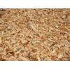 Wood chips from hard wood needed for Sweden