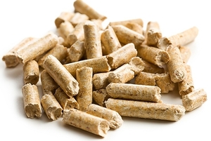 Wood Pellet, CIF Estonia $110