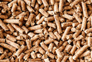 Wood Pellet - Every month from 500 to 600MT $0