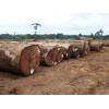 ALL AFRICAN ROUND LOGS TIMBER WOODS AND SAWN TIMBERS FOR SALE