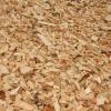 Wood chips from producer for sale