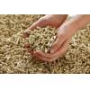 Offering sawdust and wood pellets for sell