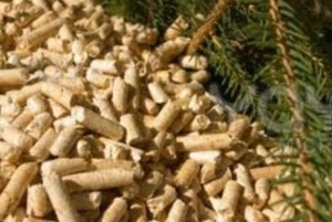 Interesuje zakup pelletu iglastego $0